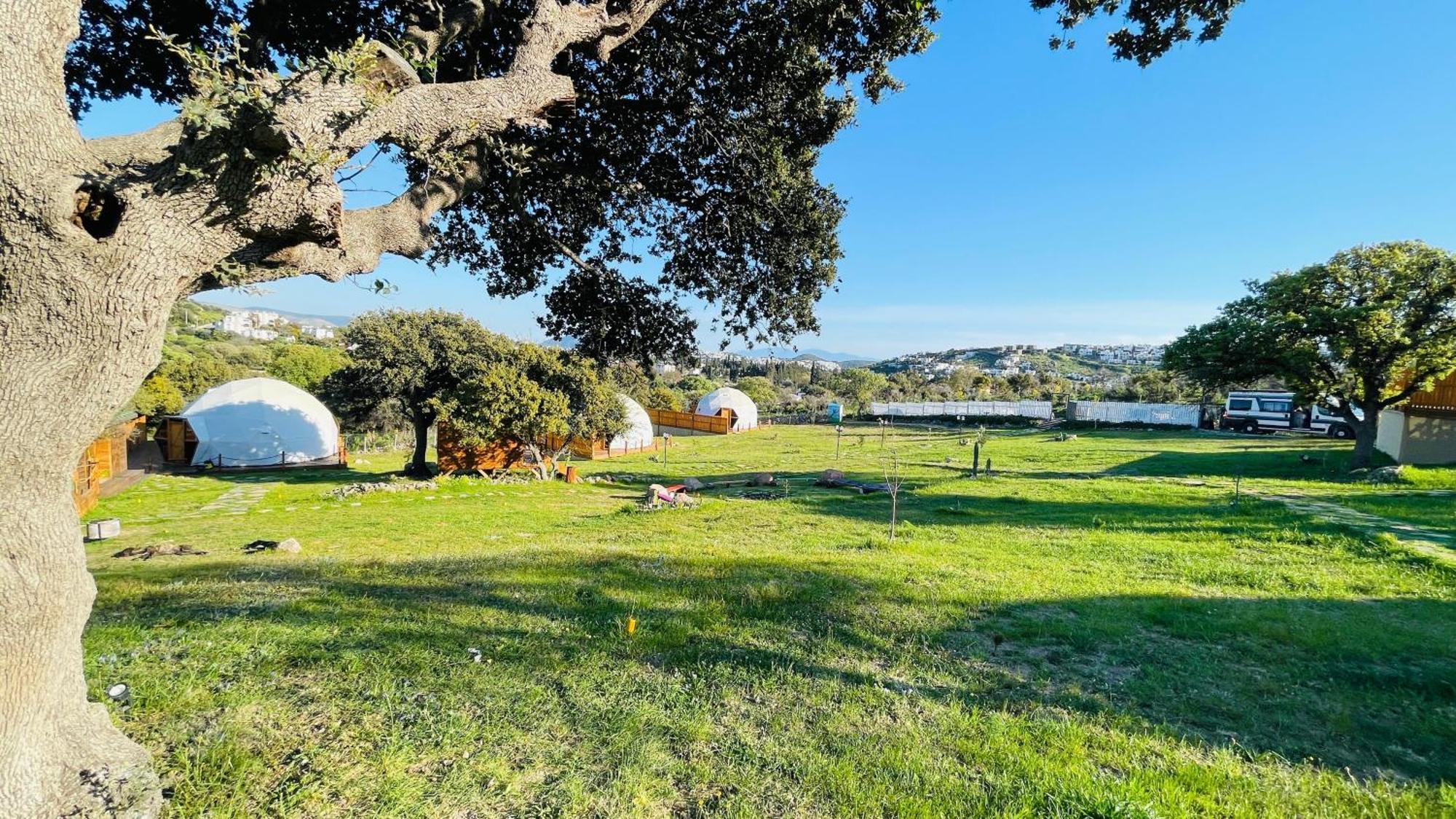 Dome Luxe tent