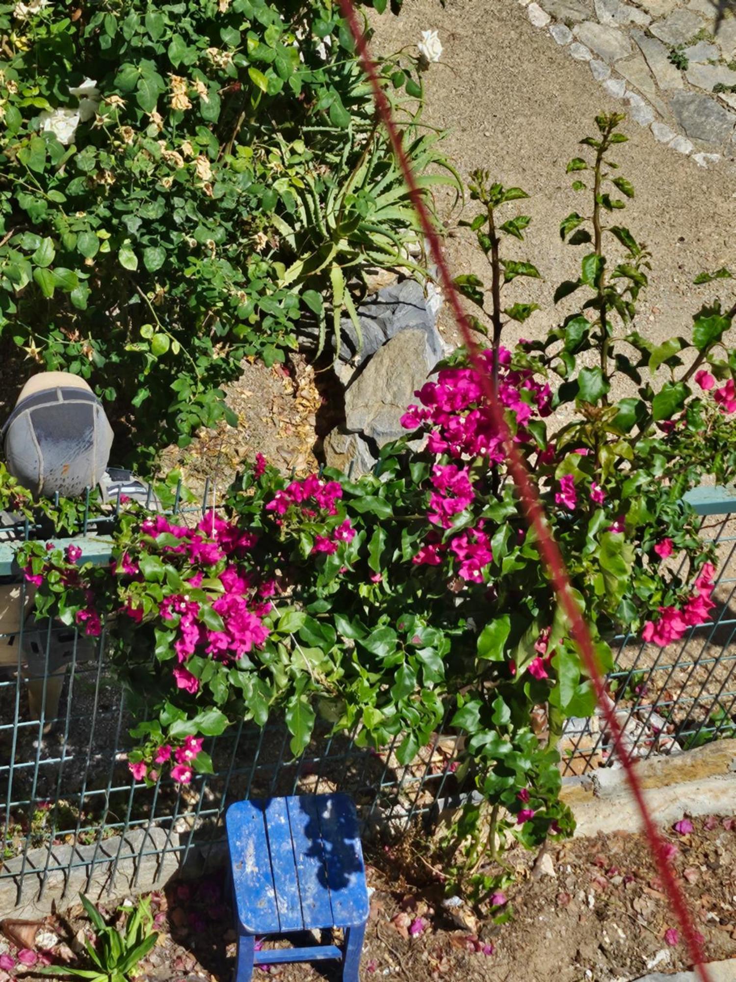 Holiday home Bodrumda Sirin Ev Bodrum