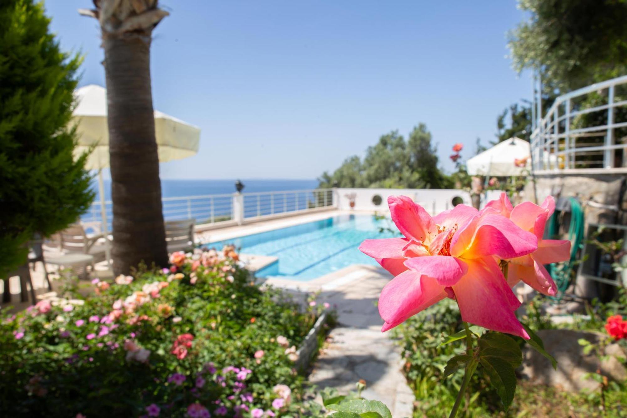 Villa Berfin By Important Group Travel Bodrum