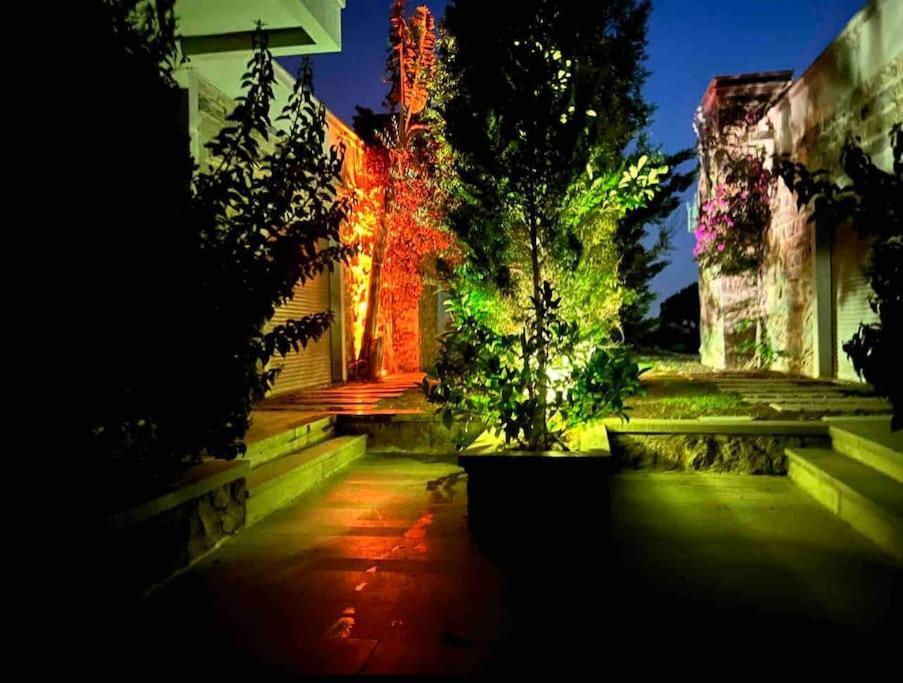 Bitez De Rueya Gibi Bir Villada Misafirlik Bodrum