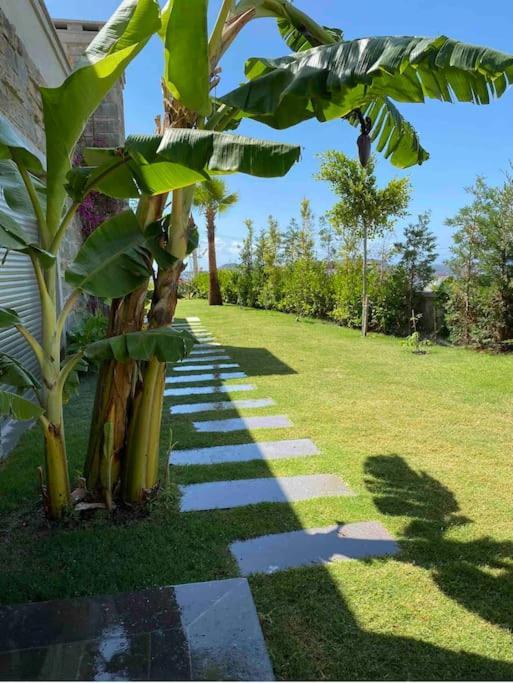 Villa Bitez De Rueya Gibi Bir Villada Misafirlik Bodrum
