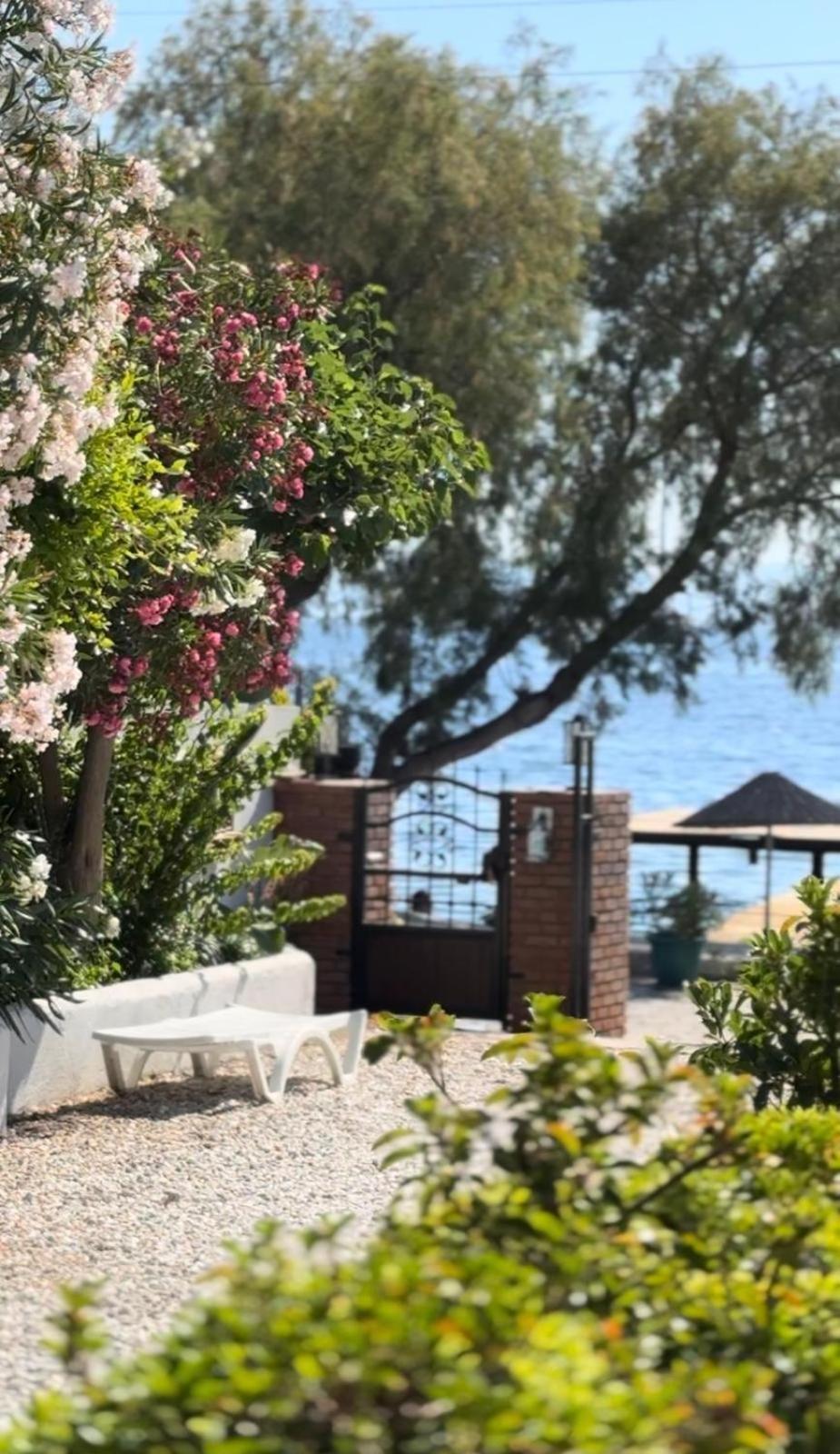 Bed & Breakfast Yueksel Butik Bodrum