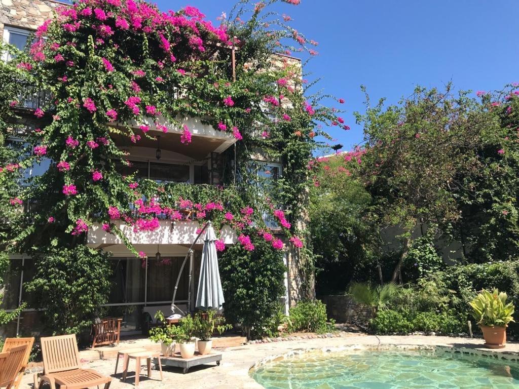 Triplex With Private Pool And Garden Villa