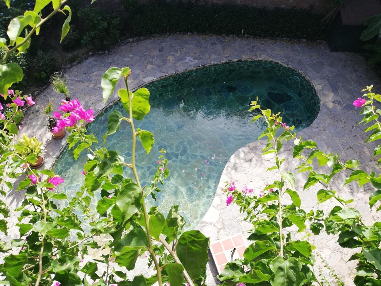 Triplex With Private Pool And Garden