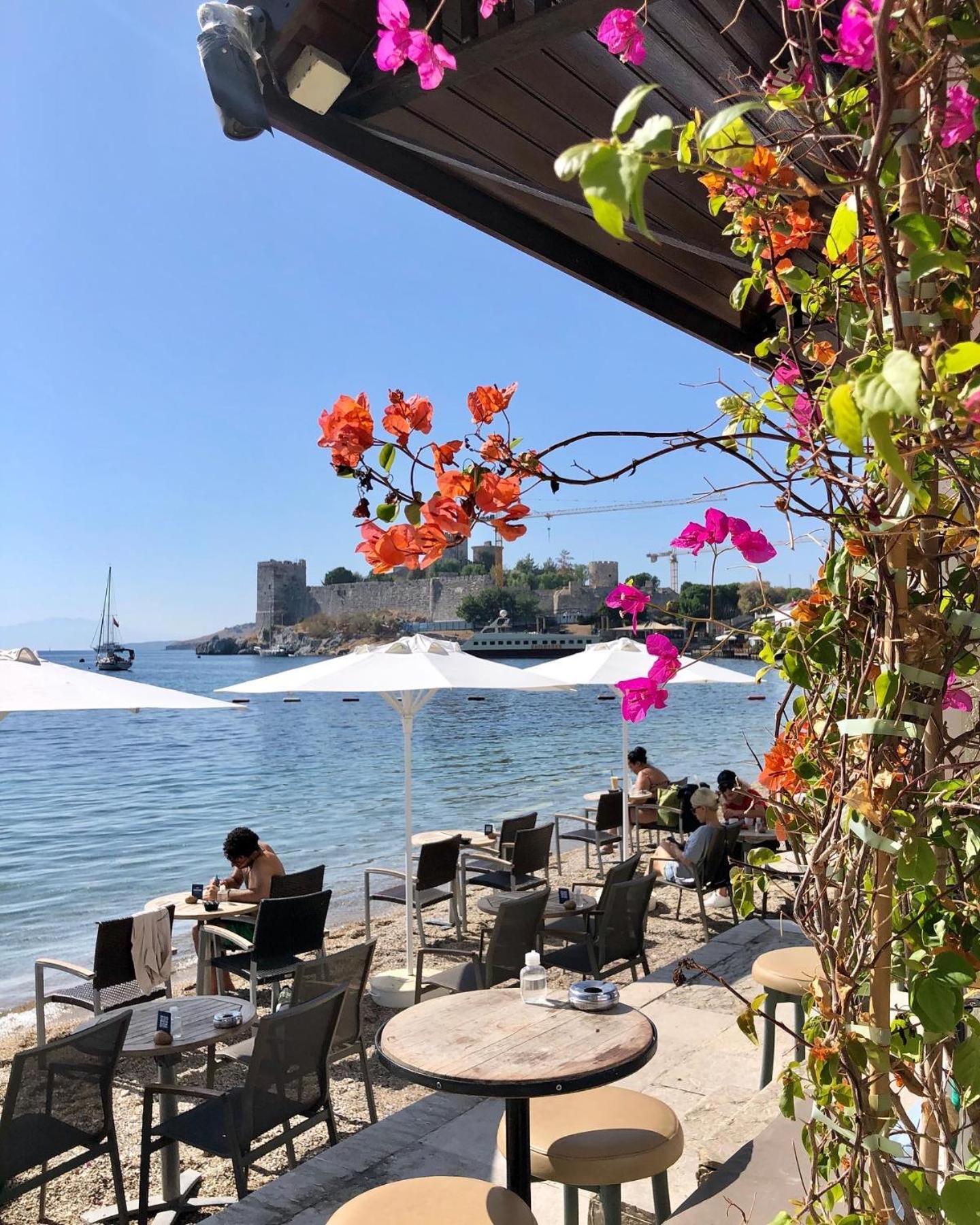 Surfer Caravan Gastro Pub Suites- Adults Only Bodrum