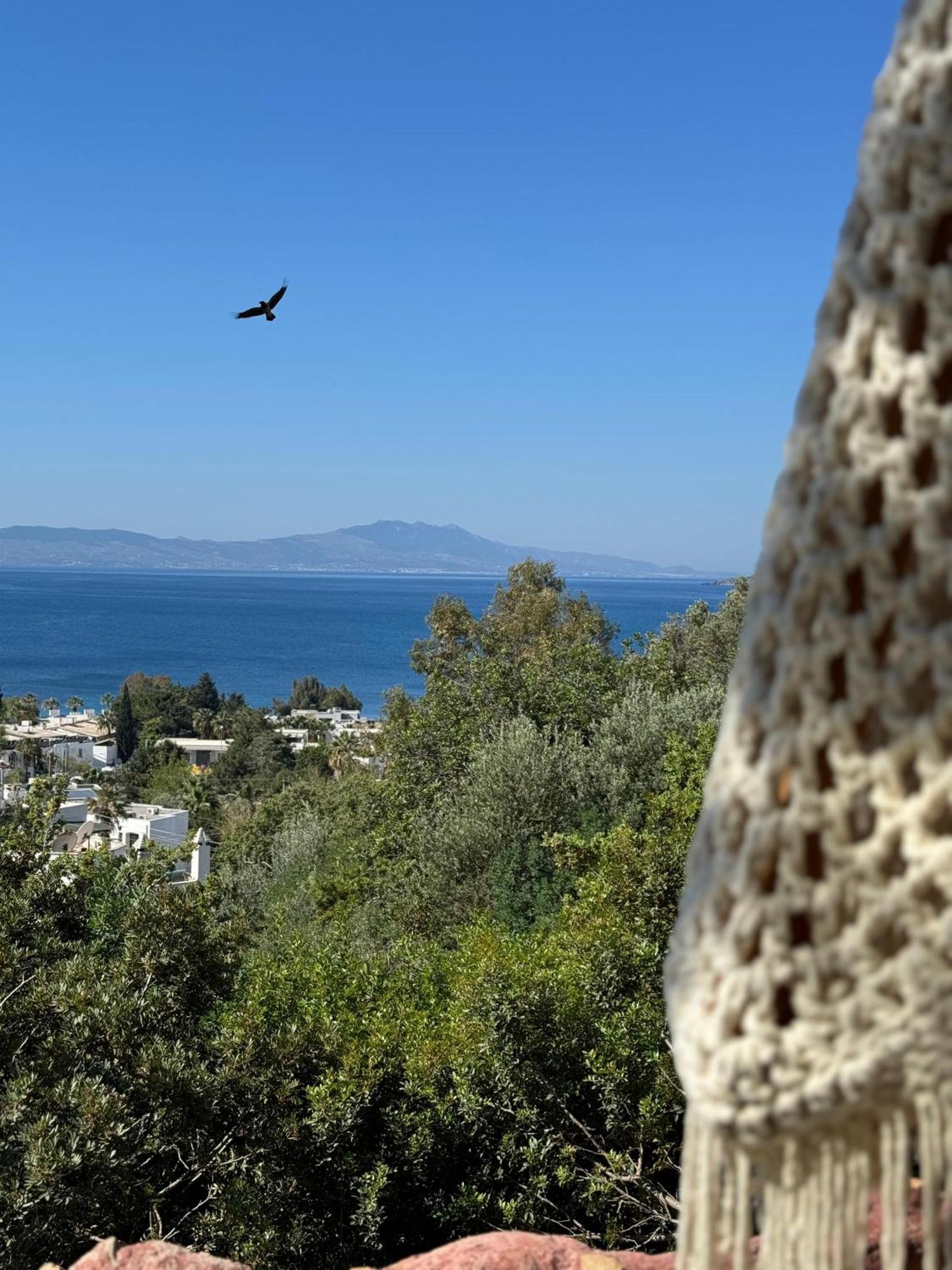 The Aegean Gate (adults Only)