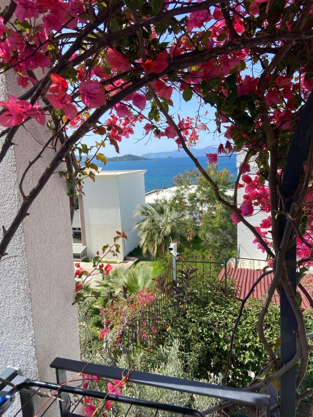 Bodrm Turgutreis Denize 100 Mt Bodrum