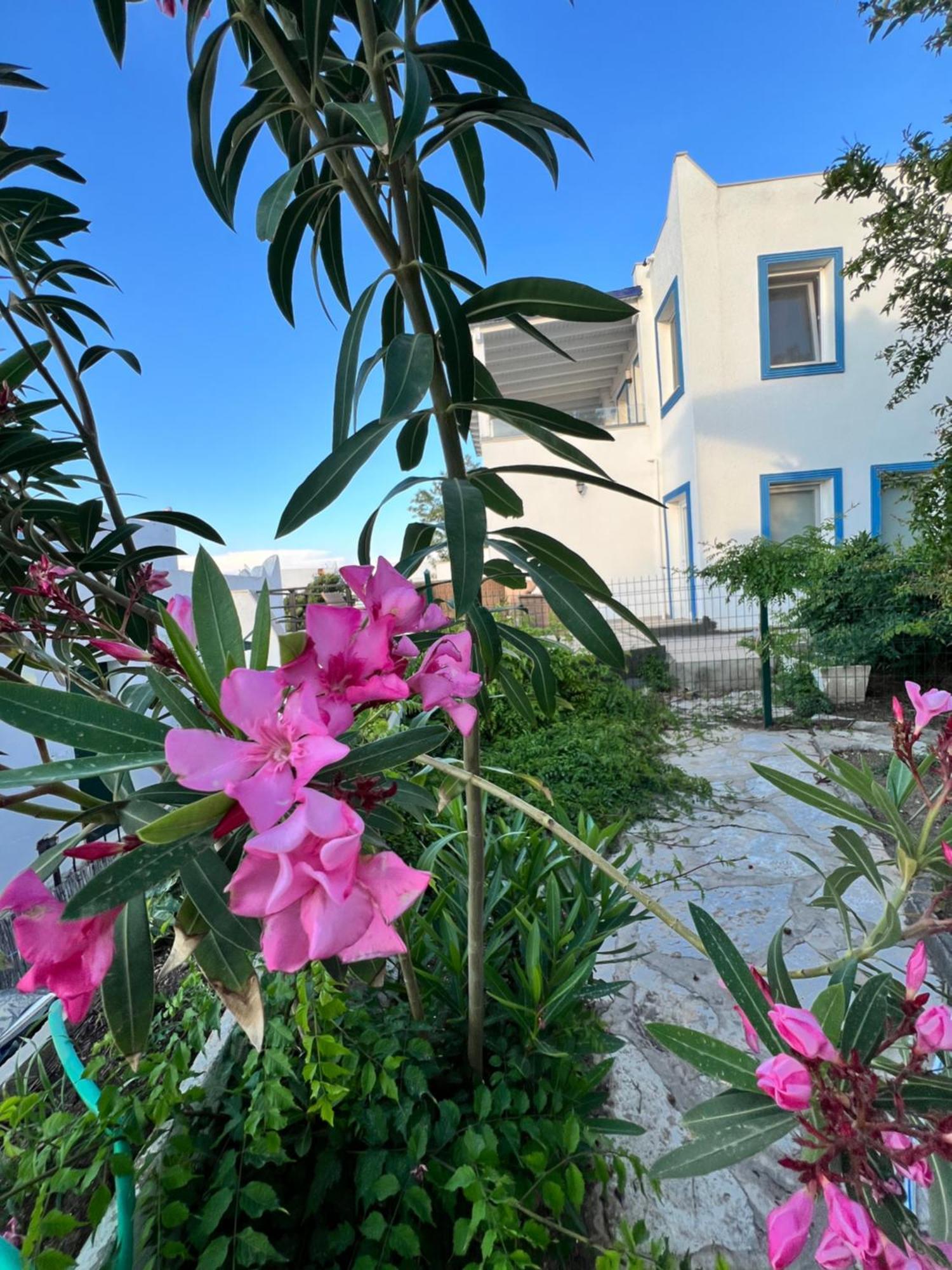 Tatil Evi Casa D'eros - Yalikavak Marina Bodrum