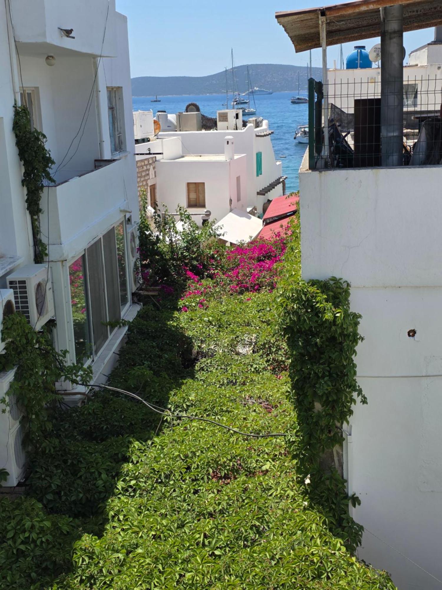 The Cranberries Hostel Bodrum