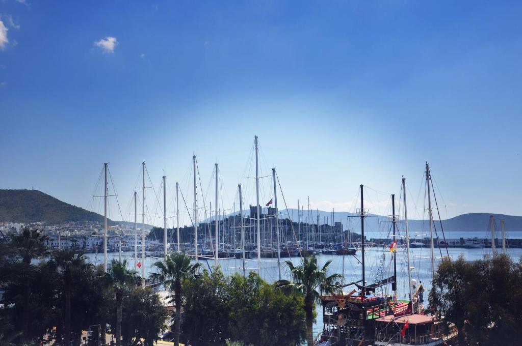 Akkan Marina 3*