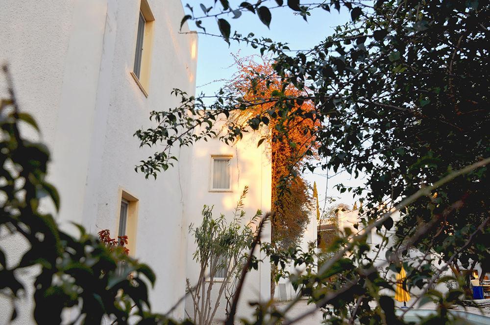 Princess Diltua 3* Bodrum