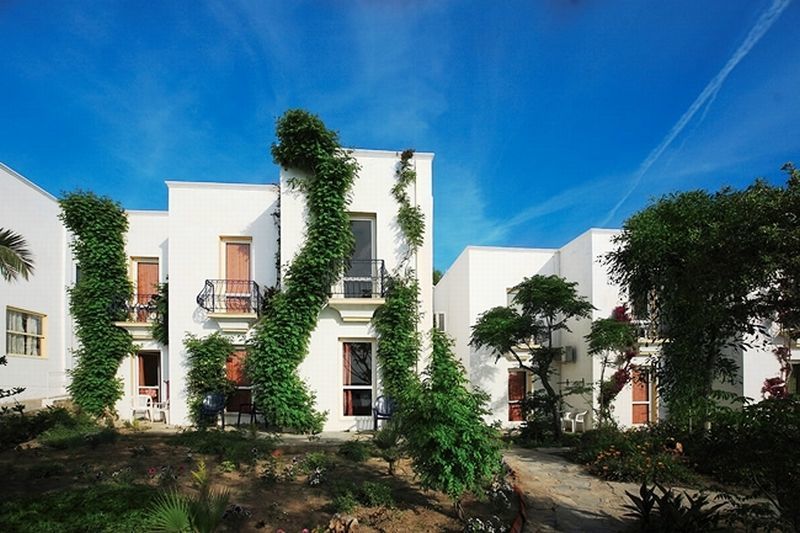 Peda Gumbet Holiday Beach Resort Bodrum