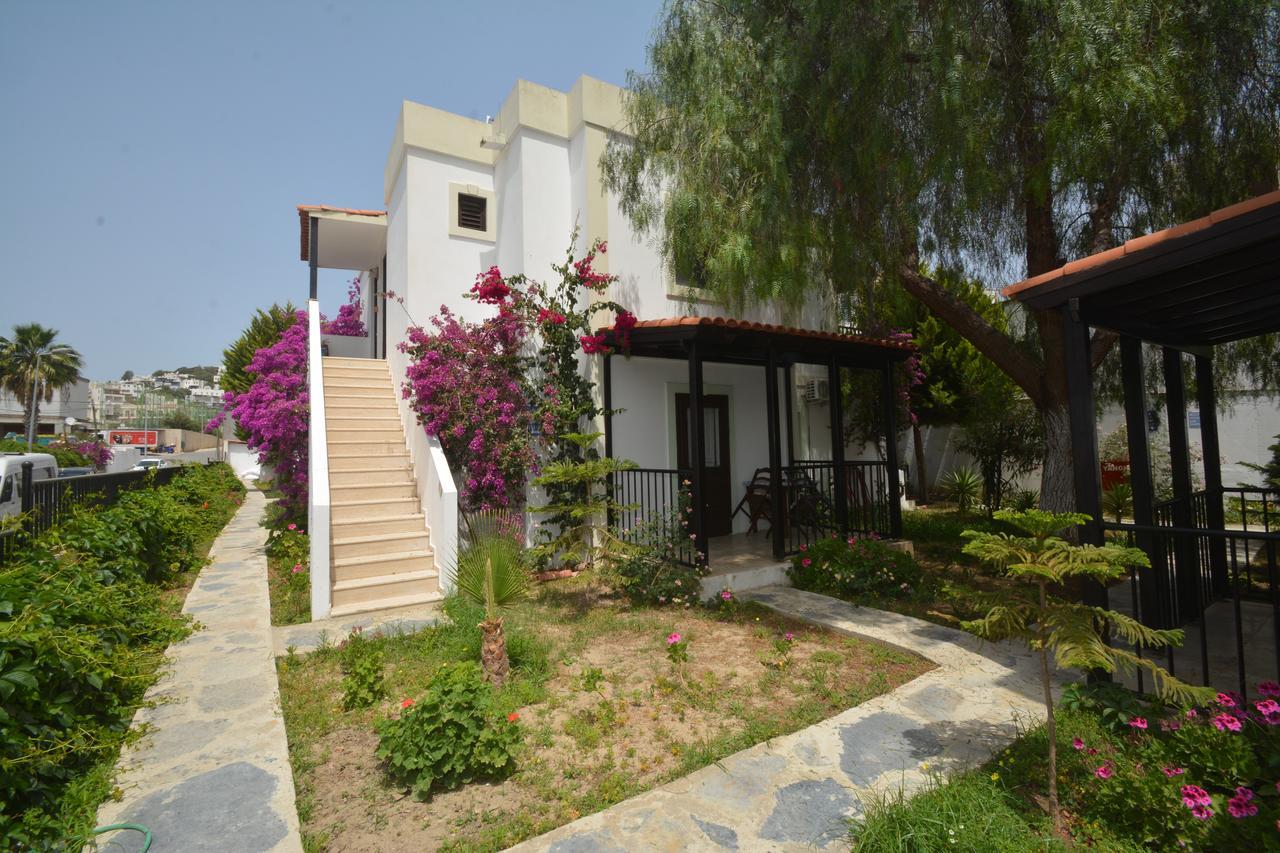 Salinas 3* Bodrum