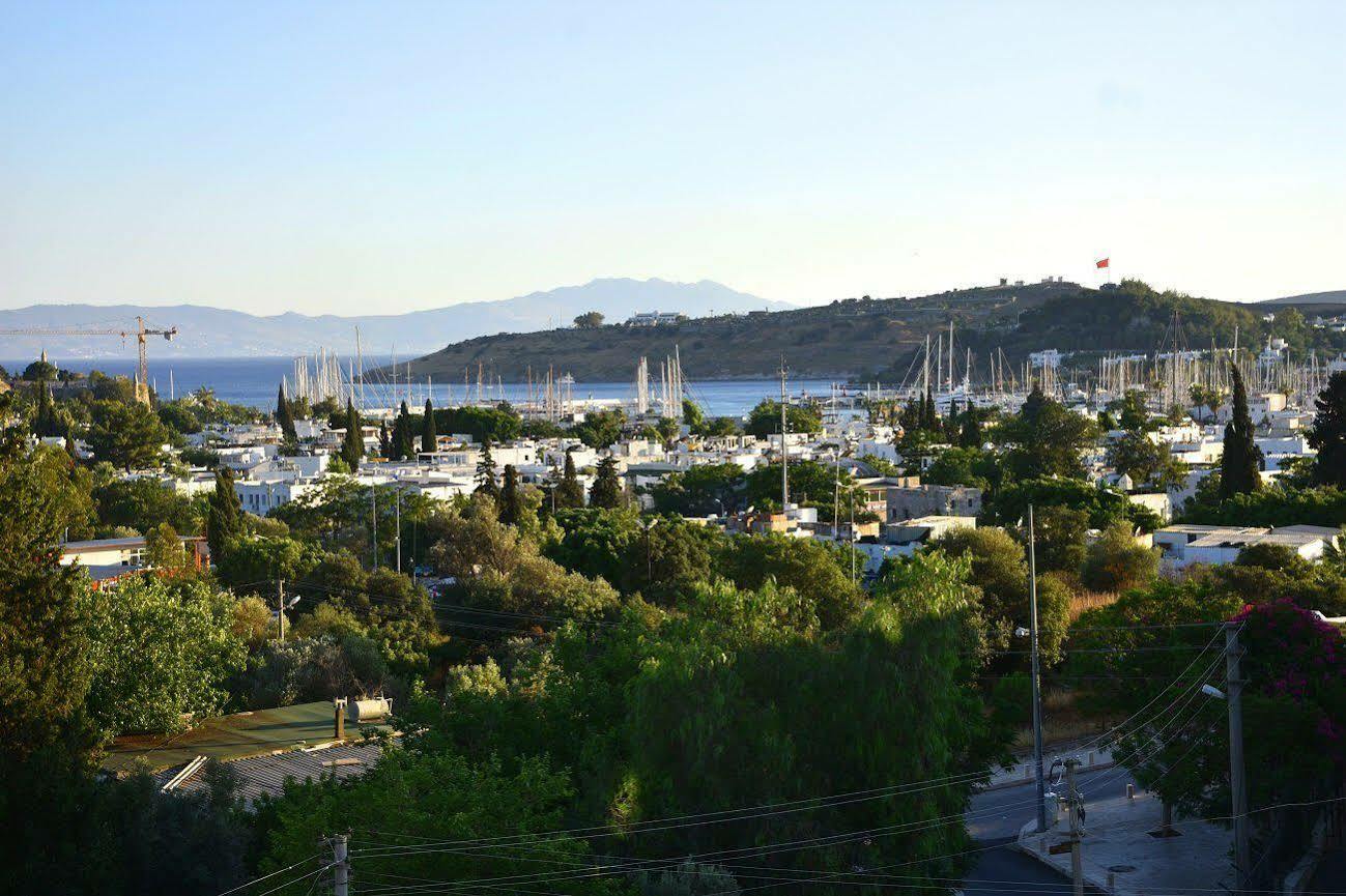 Otel Laden 3*