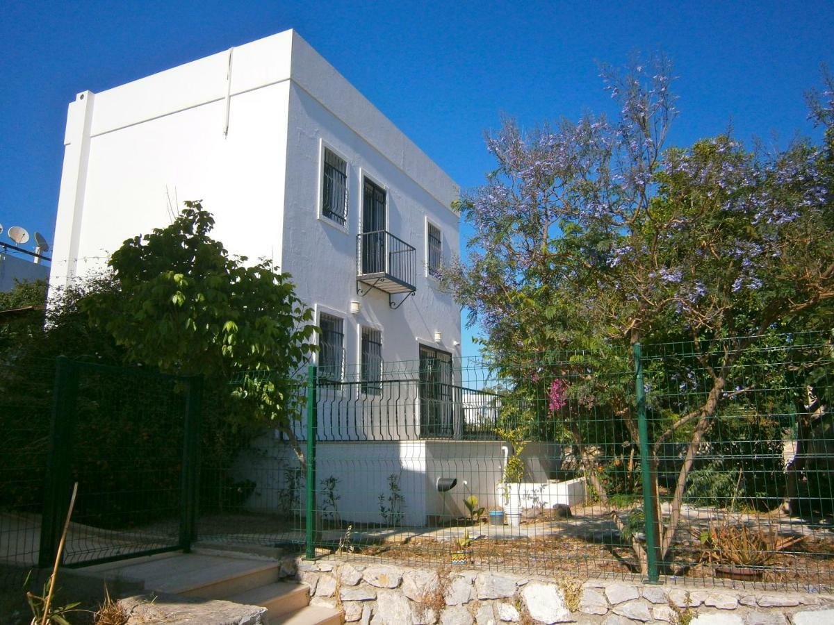 Vista Suites Apartment