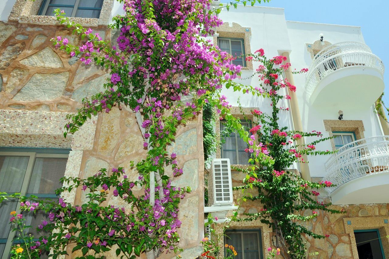 Siesta Apart Otel Bodrum