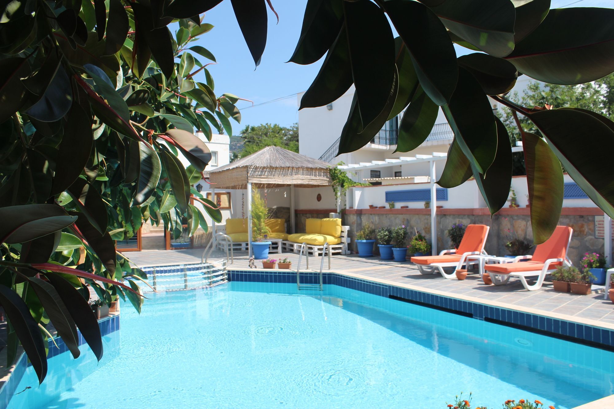 Hotel Oya Boutique And 3*