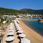 Voyage Torba