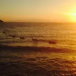 Peda Hotels Blue Bodrum Beach