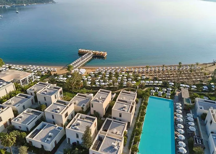Voyage Torba