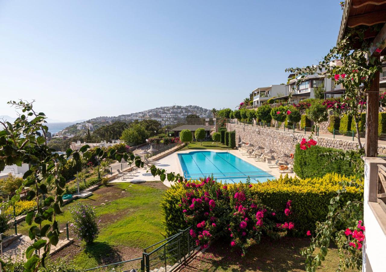 Apartamento Splendid House With Sea View And Shared Pool In *