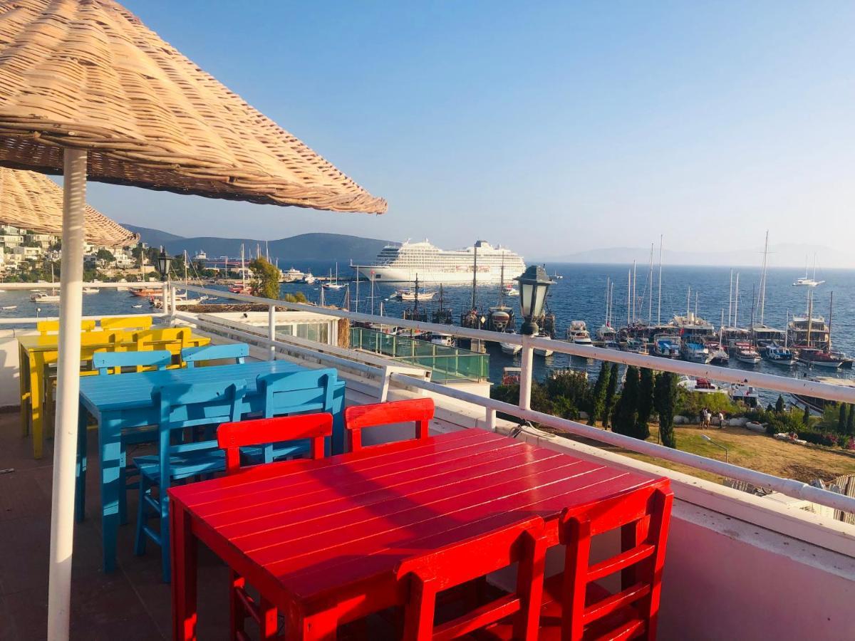 Guest house Angora 3*