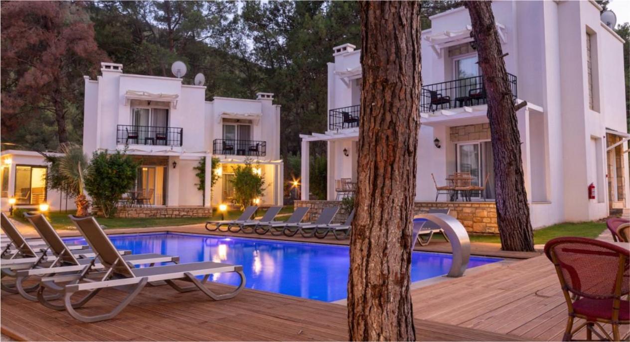 Secret Life Hotel Hotel