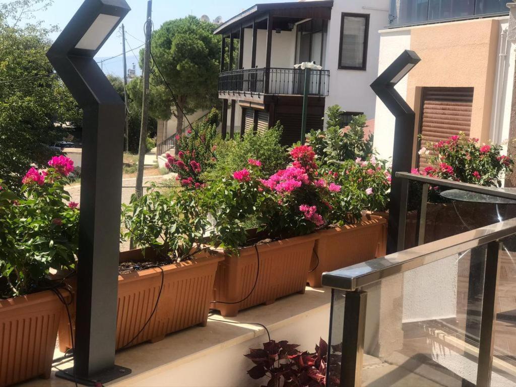 Leman Apart Apartment