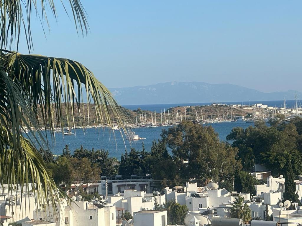 Lidya * Bodrum