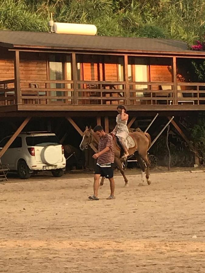 Equestrian And Club Motel *