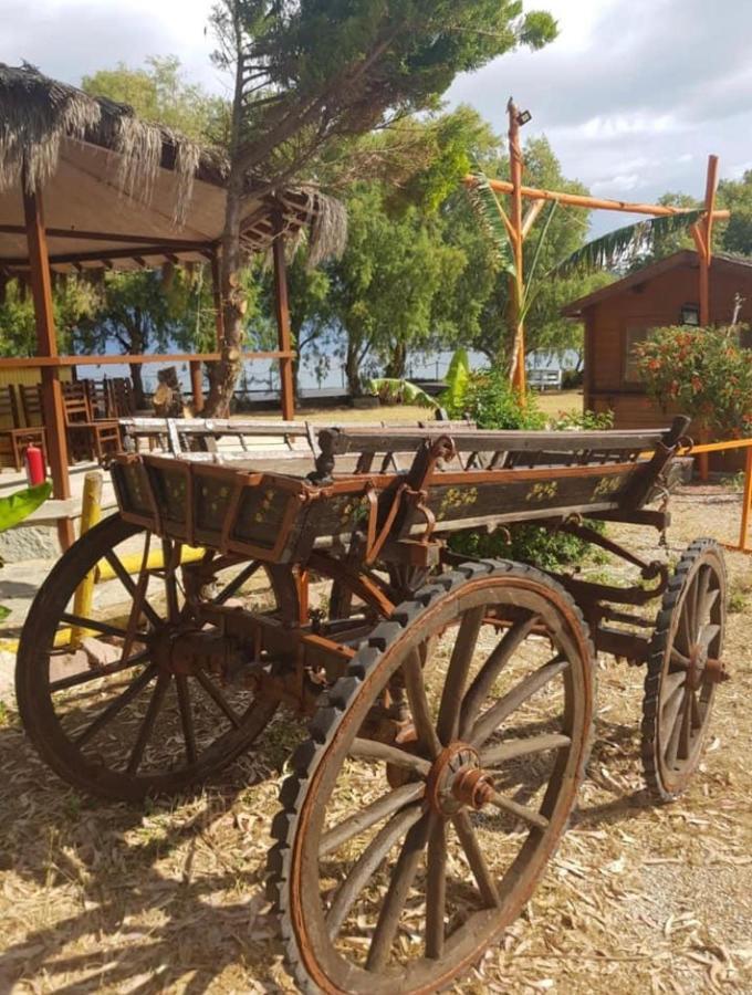 Motel Equestrian And Club *