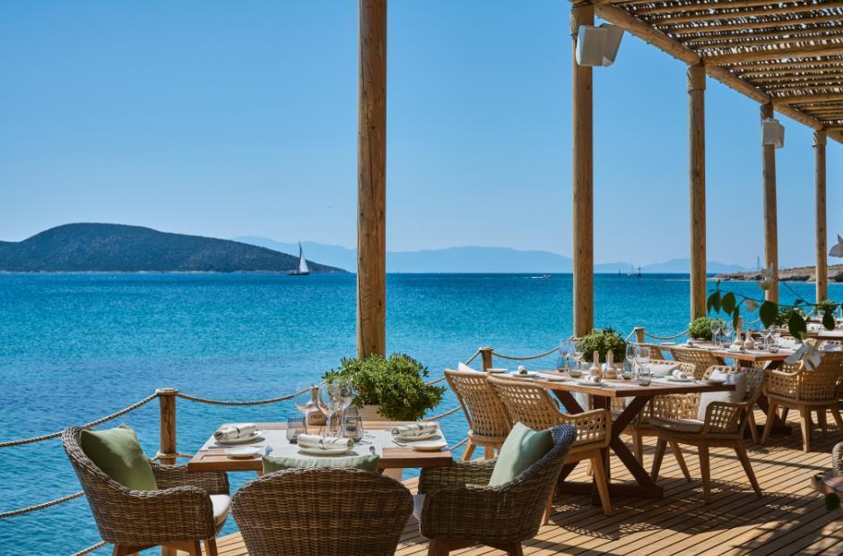 Mett & 5* Bodrum
