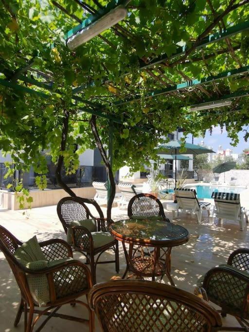 Apartment Brand New 2 Bedroom Garden Floor Flat With Pool A1 Bodrum