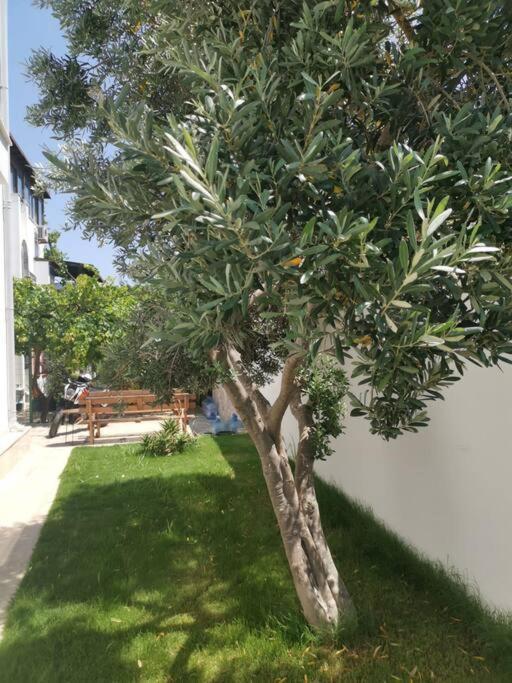 Apartment Brand New 2 Bedroom Garden Floor Flat With Pool A1 Bodrum