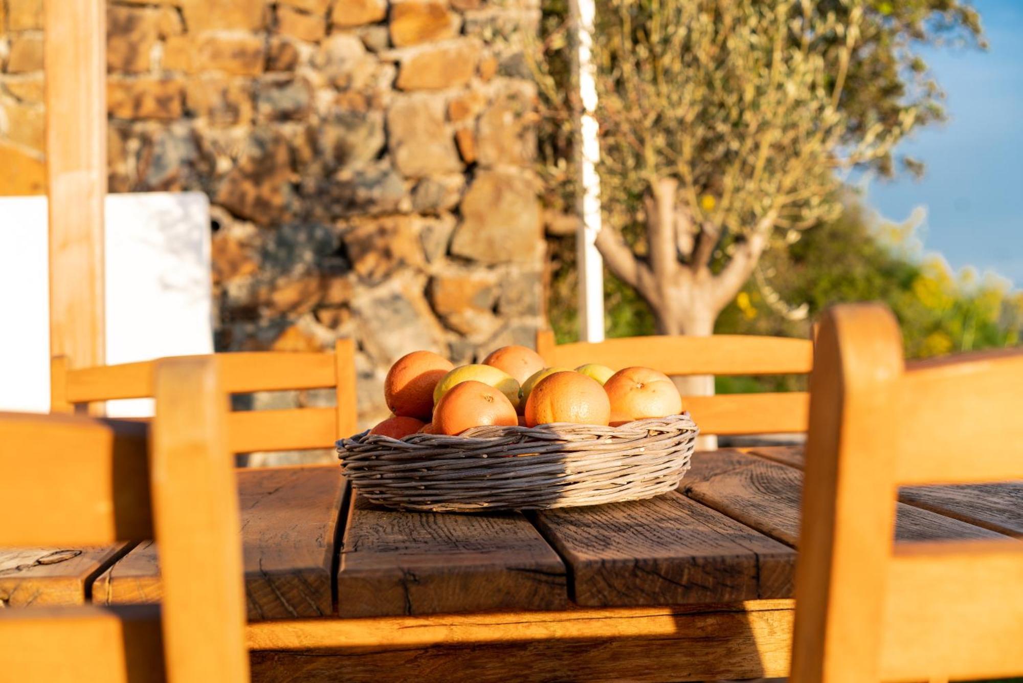 Fuga Panorama Villa Bodrum