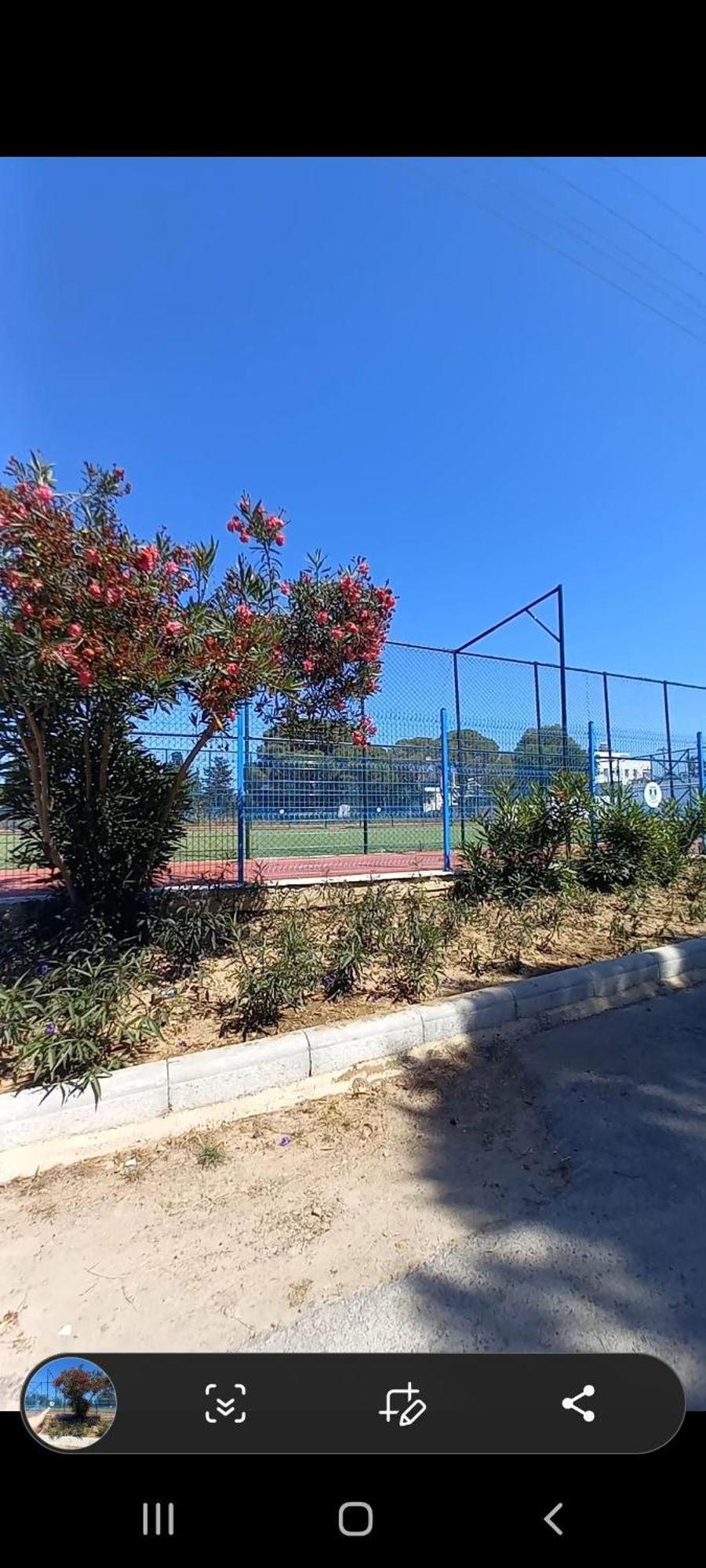 Rahat Ev Apartment Bodrum