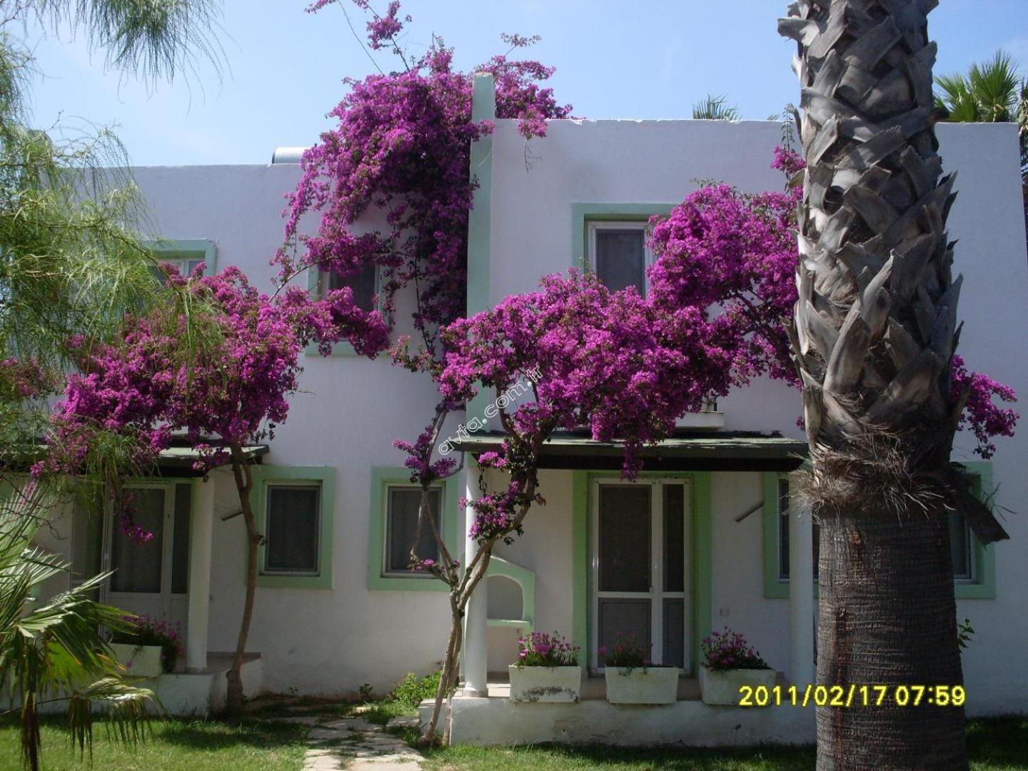 Avta Tatil Koeyue Holiday home *