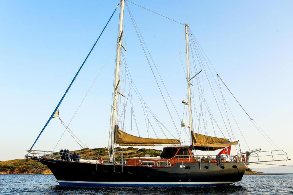 Tekne Luxury Boat In Marina *