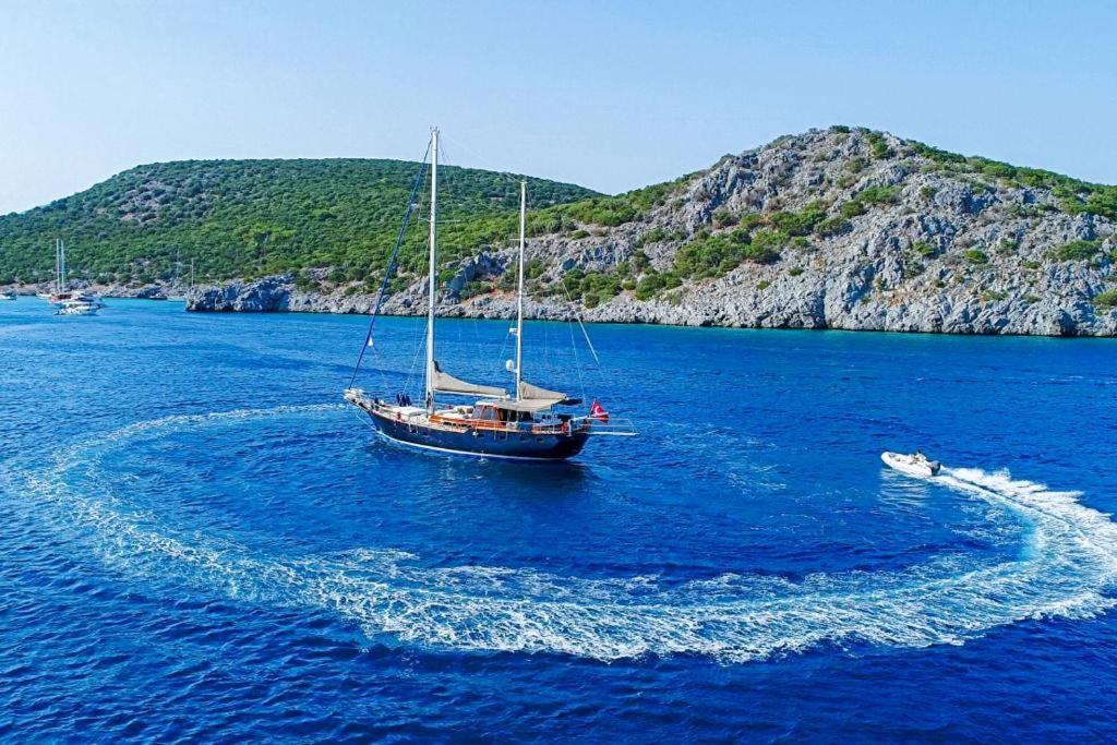 Luxury Boat In Marina Tekne