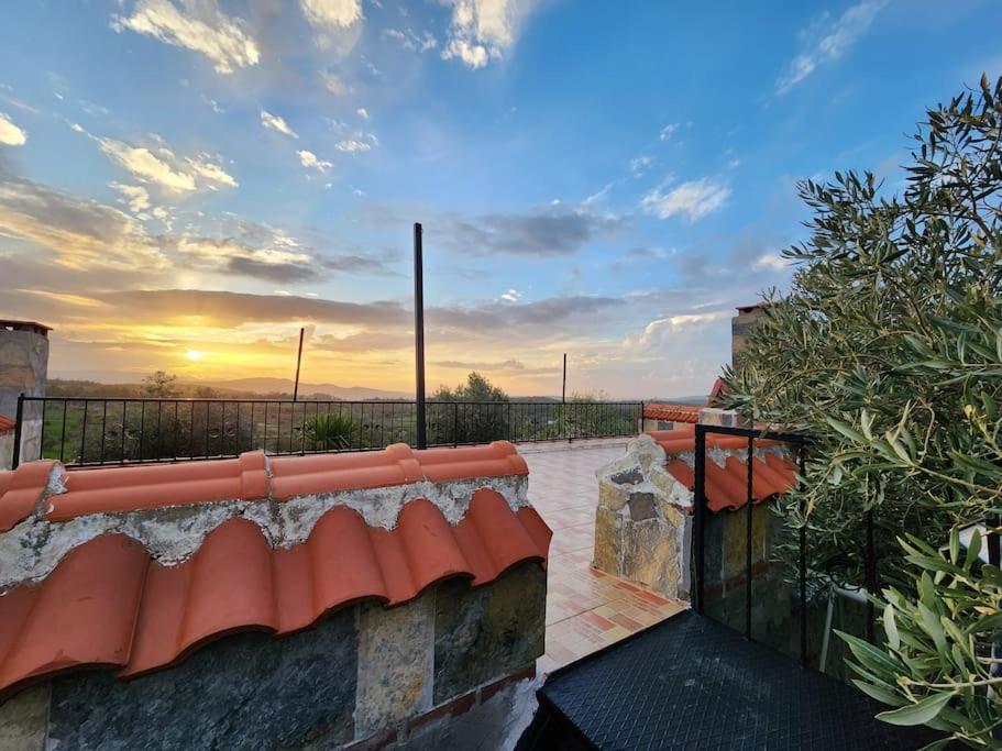 Apartment Eleia - Olive Garden & Stone House