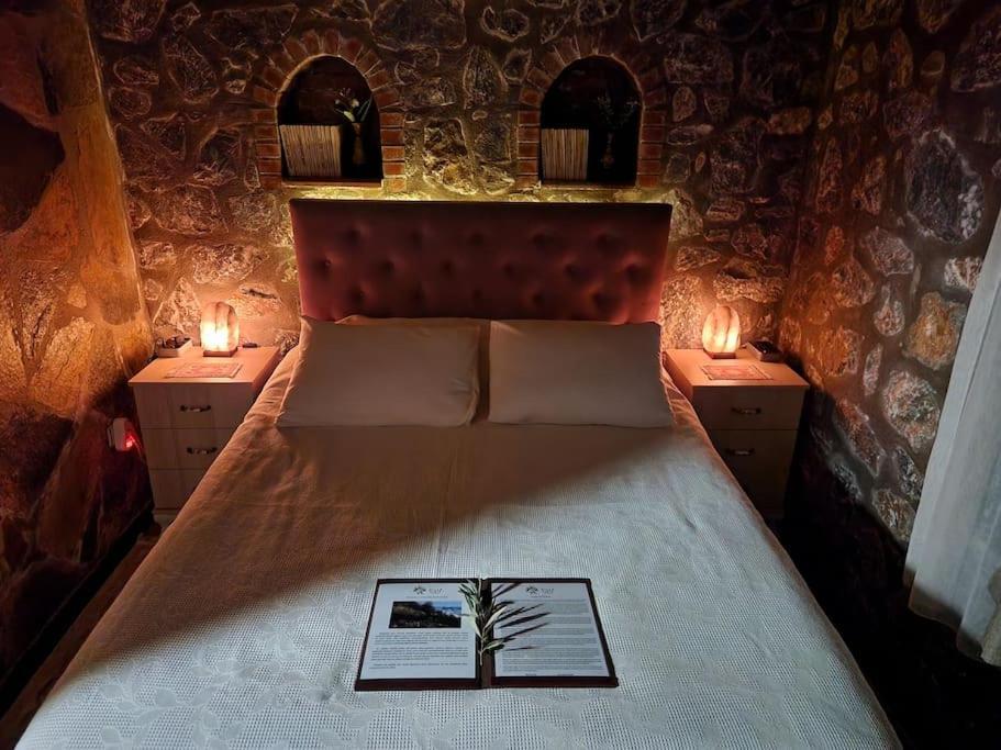 Apartment Eleia - Olive Garden & Stone House *