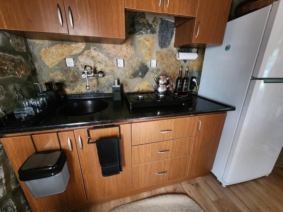 Apartment Eleia - Olive Garden & Stone House Bodrum