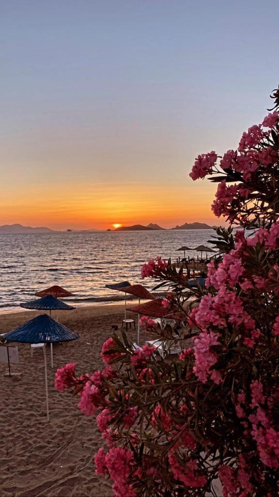 Sea,quality Sunset! 1 Apartment *