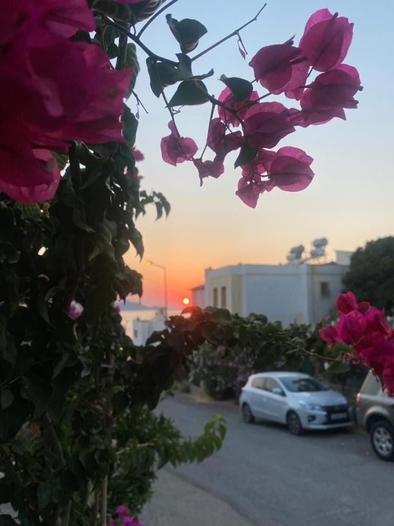 Sea,quality Sunset! 1 Apartment