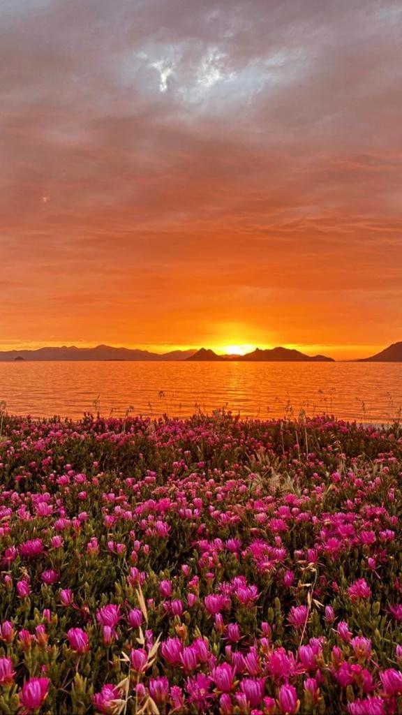Apartment Sea,quality Sunset! 1