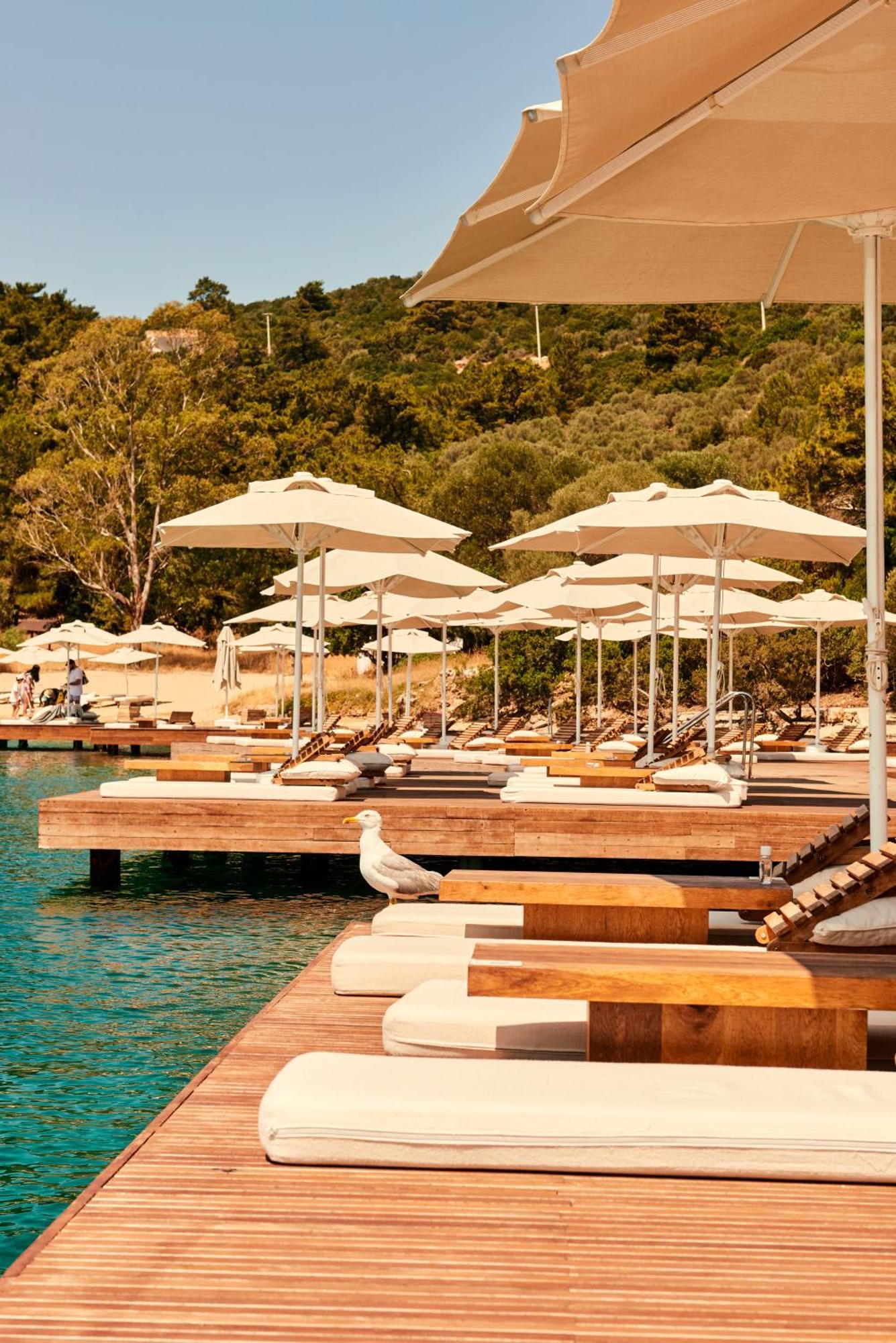 Loft Bodrum