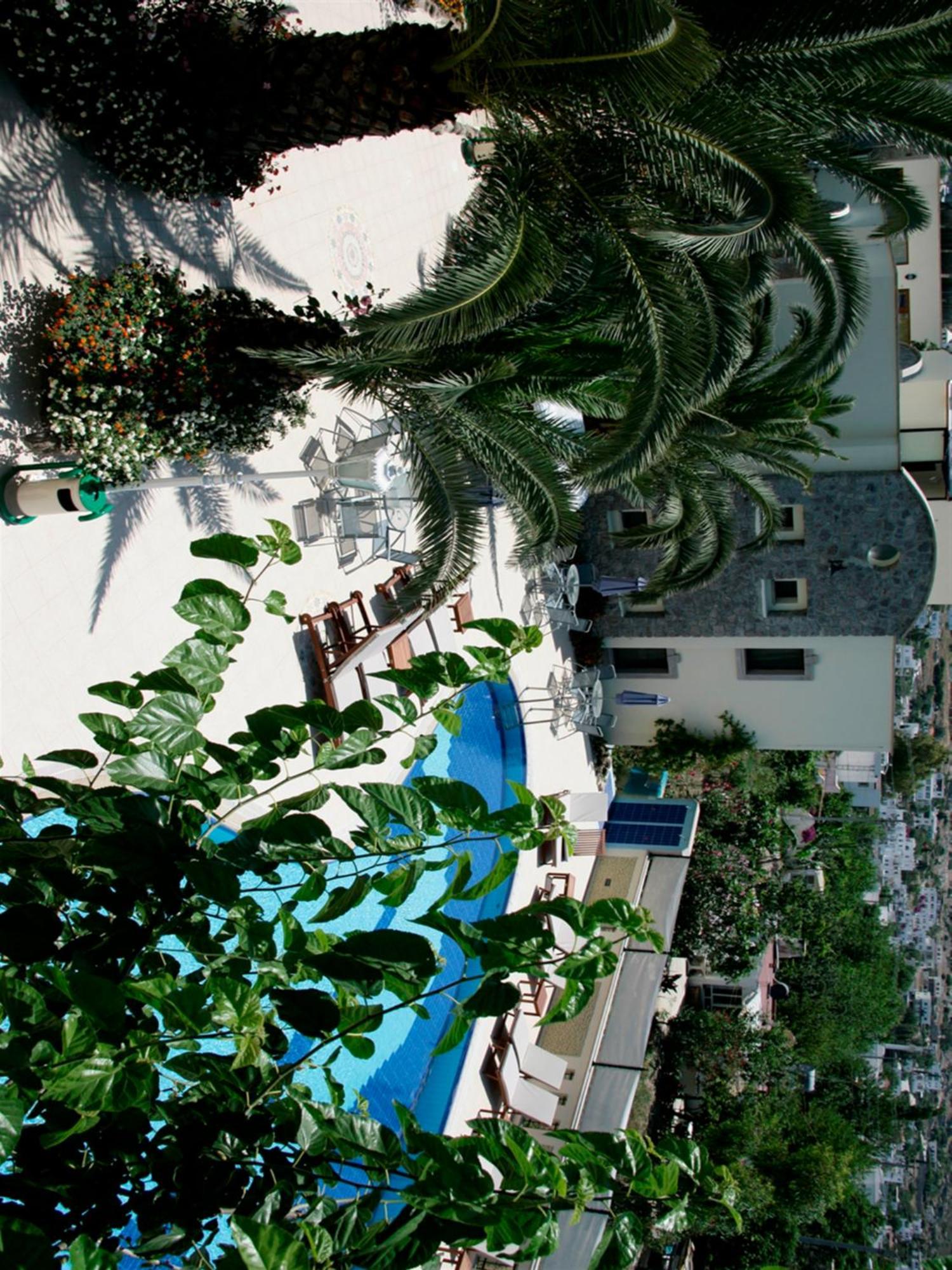 Hotel Bella Garden 4*