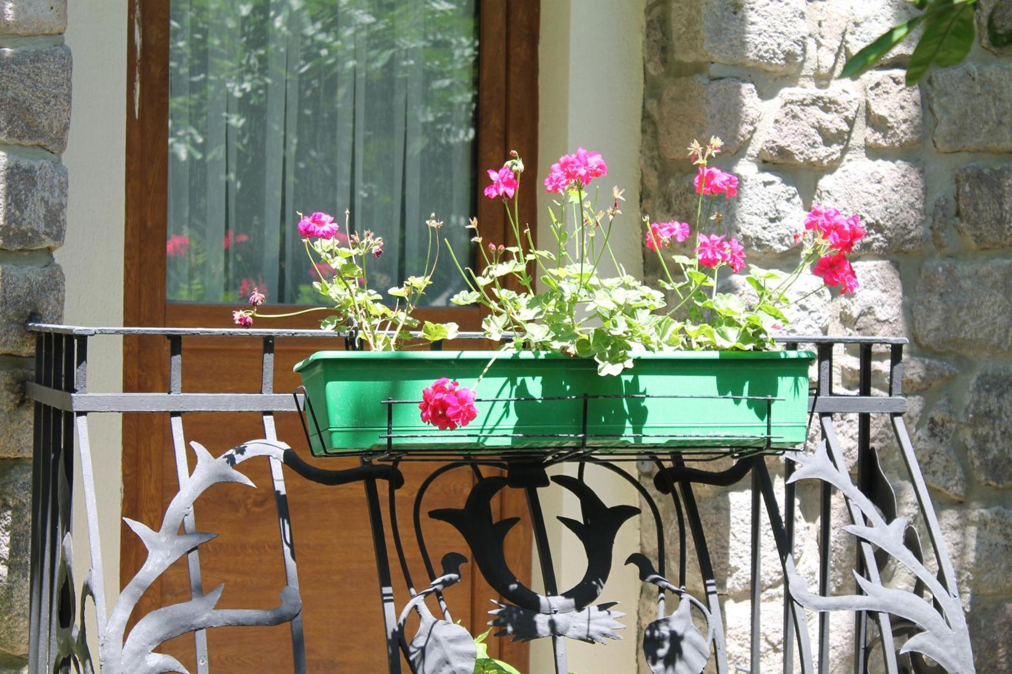 Bella Garden Hotel 4*