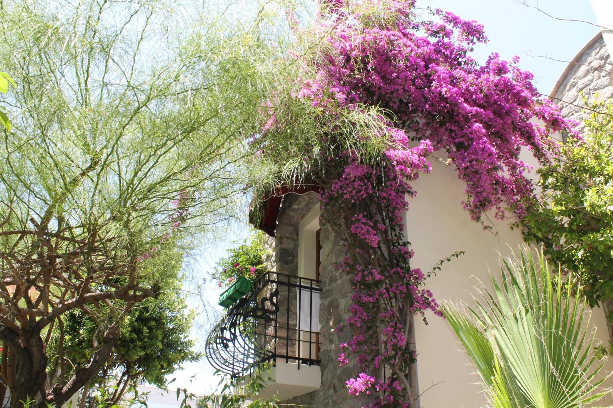 Hotel Bella Garden