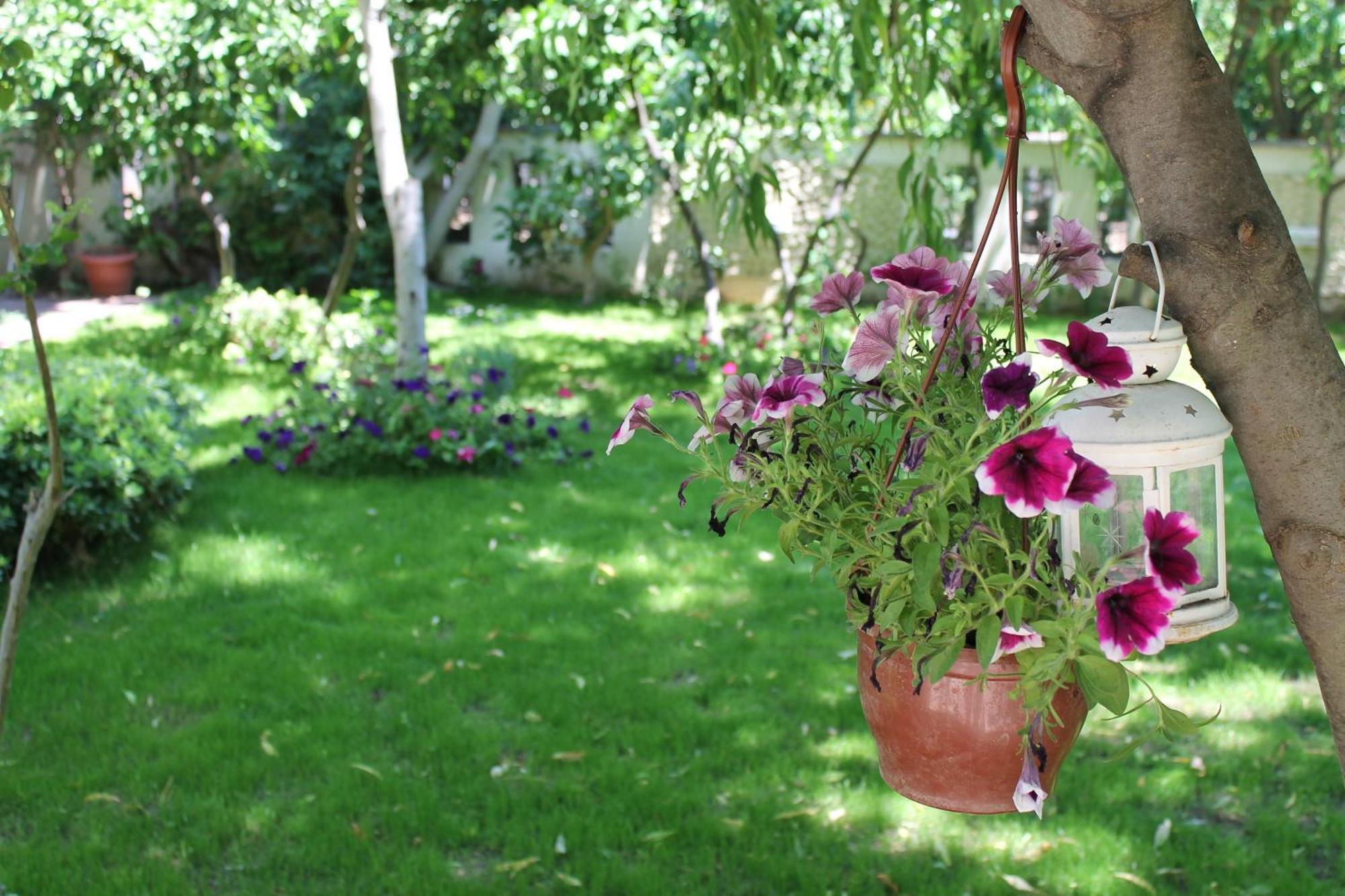 Bella Garden Hotel Bodrum